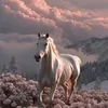 Someone