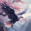 Someone