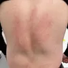 Someone