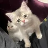Someone
