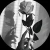 Someone
