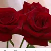 Someone