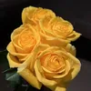 Someone