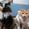 Someone