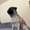 Someone