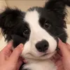 Someone
