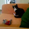 Someone