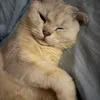Someone