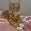 Someone