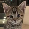 Someone