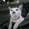 Someone