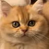 Someone