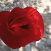 Someone