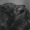 Someone