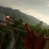 Someone