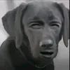 Someone
