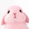 Someone