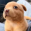 Someone
