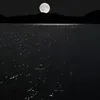 Someone