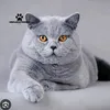 Someone