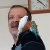 Someone
