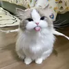 Someone