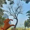Someone