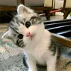 Someone