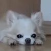 Someone