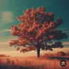 Someone