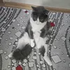 Someone