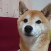 Someone