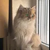 Someone