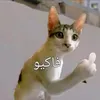 Someone