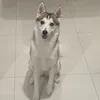 Someone