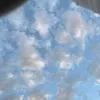 Someone