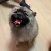 •••••o_