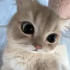 Someone