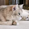 Someone