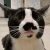 Someone