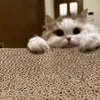 Someone