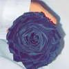 Someone