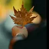 Someone