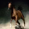 Someone