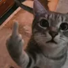 Someone