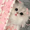 Someone