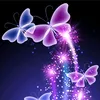 Someone