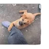 Someone