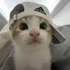 Someone