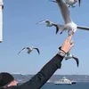 Someone